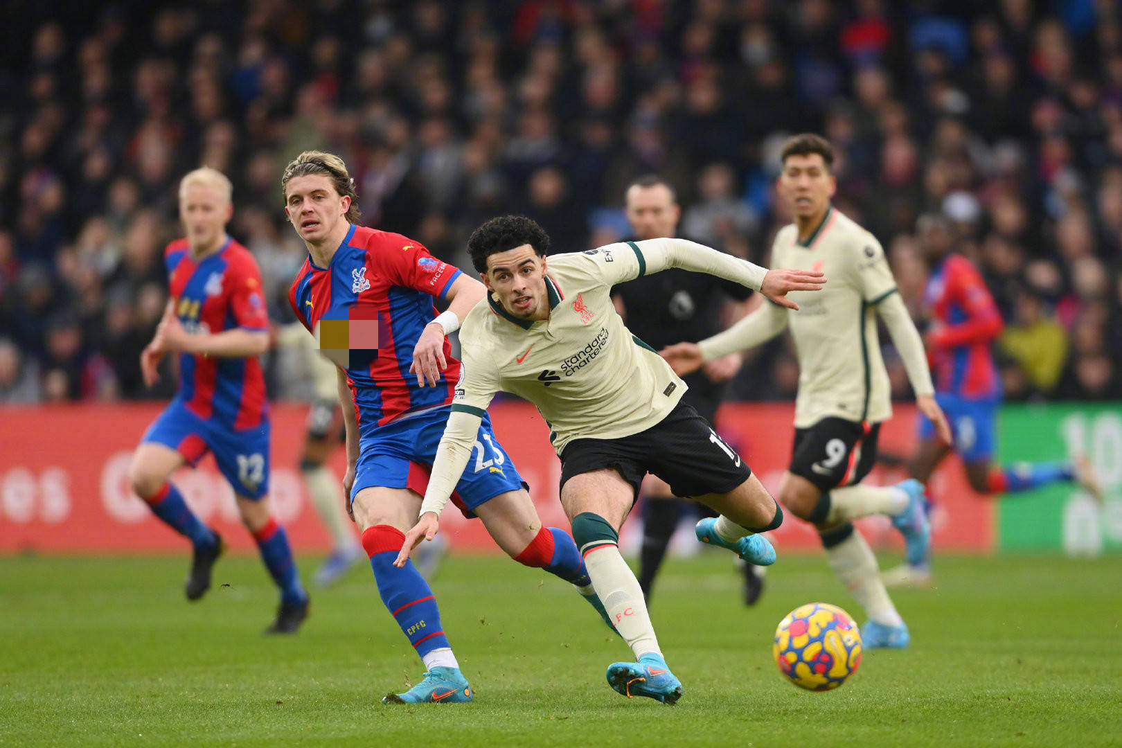 狼队的这一 狼队的这一